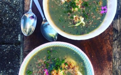 Nettle Soup for the Soul – Spring